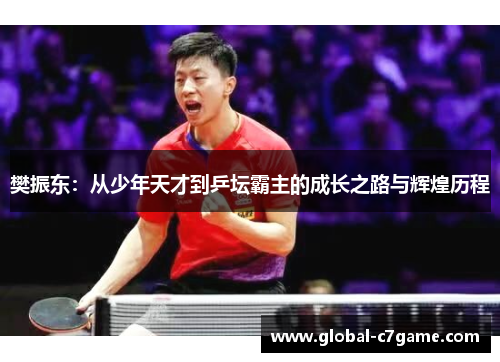 樊振东：从少年天才到乒坛霸主的成长之路与辉煌历程