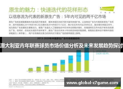 澳大利亚青年联赛球员市场价值分析及未来发展趋势探讨
