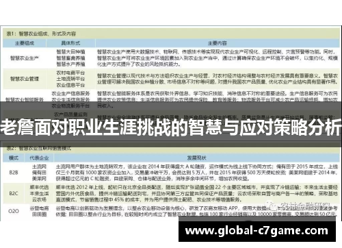 老詹面对职业生涯挑战的智慧与应对策略分析