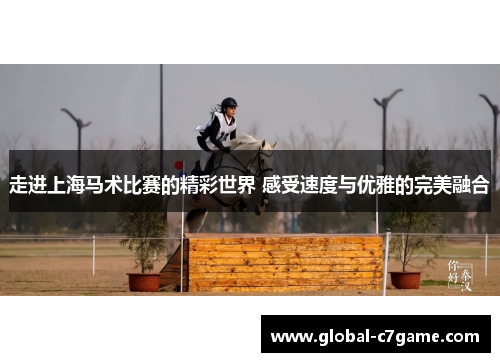 走进上海马术比赛的精彩世界 感受速度与优雅的完美融合