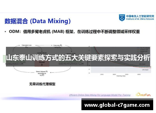 山东泰山训练方式的五大关键要素探索与实践分析