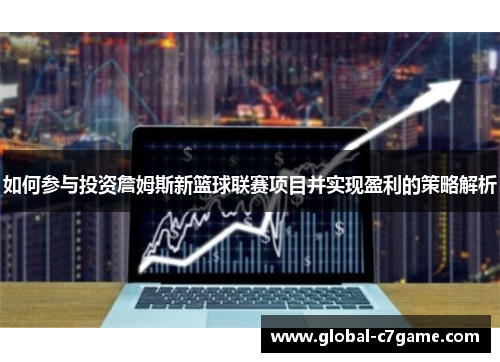 如何参与投资詹姆斯新篮球联赛项目并实现盈利的策略解析