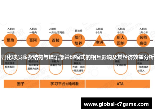 归化球员薪资结构与俱乐部管理模式的相互影响及其经济效益分析